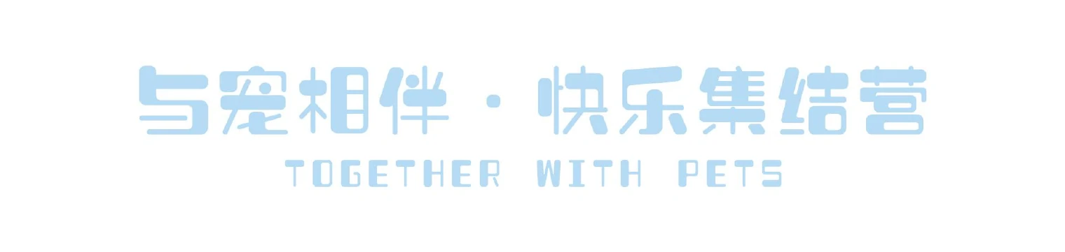 与宠相伴·快乐集结营 IP 视觉设计 第 2 页